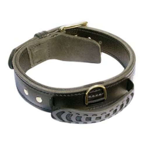 Dog Collars